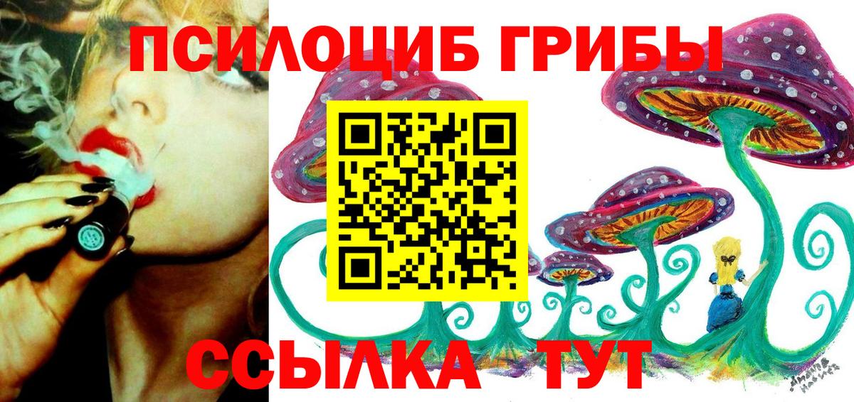 Псилоцибиновые грибы Cubensis  Вход с VPN  Тихвин  Псилоцибиновые грибы ЛСД 