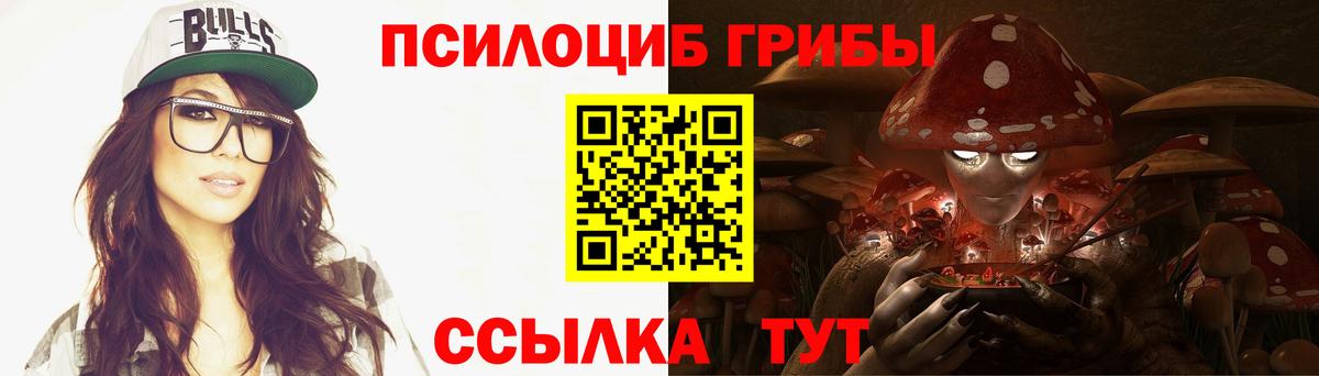 Галлюциногенные грибы Psilocybine cubensis Тихвин